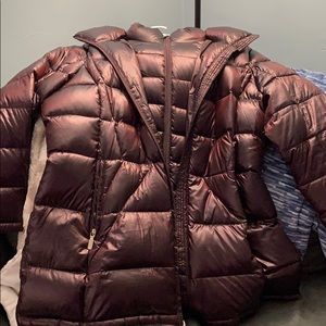 Calvin Klein puffer coat